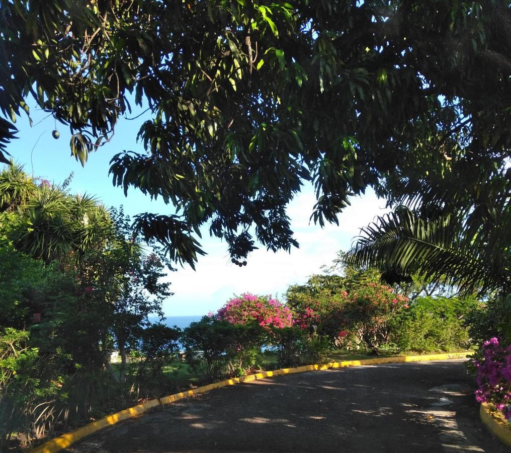 Irresistible View-Mobay Club 1408 Appartement Montego Bay Buitenkant foto