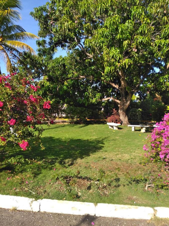 Irresistible View-Mobay Club 1408 Appartement Montego Bay Buitenkant foto